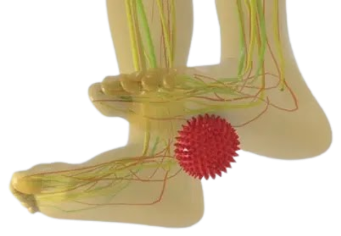 The Neuro Balance Therapy work
